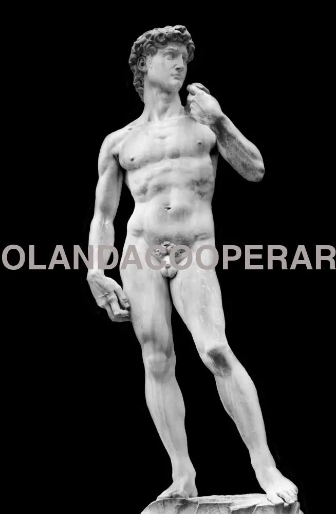 The David Digital Print