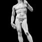 The David