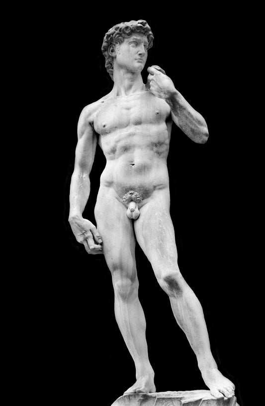 The David