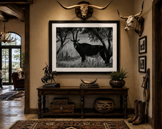 Black and White Sable Antelope Photography | Texas Ranch & Safari Wildlife Wall Art