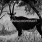 Black and White Sable Antelope Photography | Texas Ranch & Safari Wildlife Wall Art