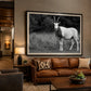 Black and White Scimitar Oryx Photography | Western Wildlife | 30’x40’ Wall Art Print | Texas Ranch Decor