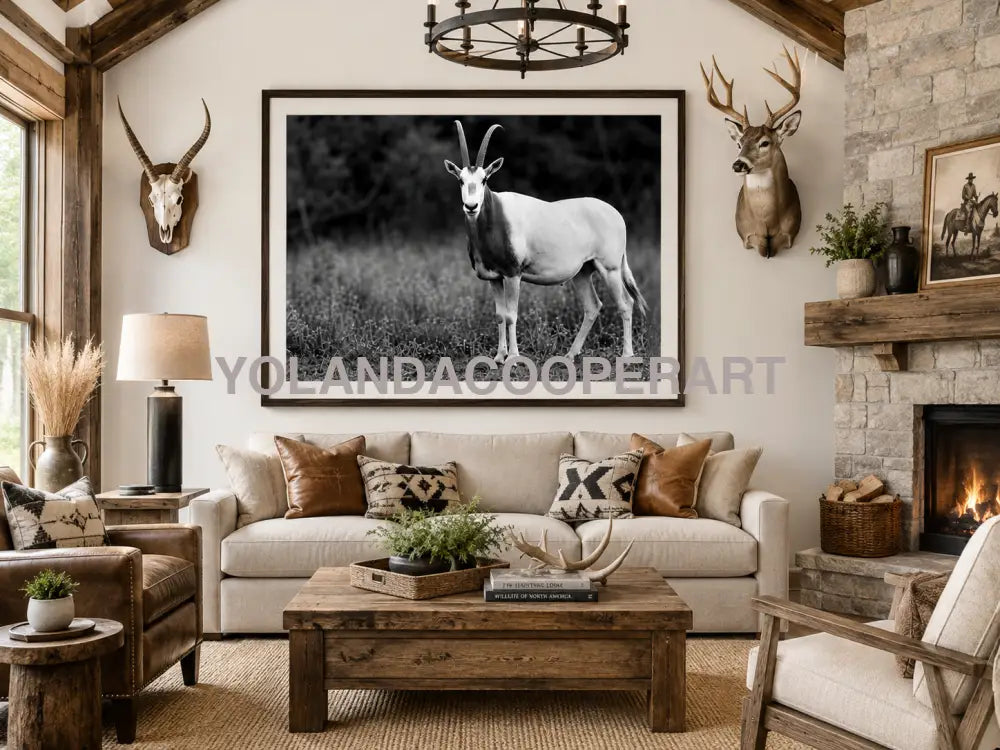 Black and White Scimitar Oryx Photography | Western Wildlife | 30’x40’ Wall Art Print | Texas Ranch Decor