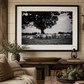 Black and White Texas Longhorn Cattle Photography Print | Rustic Farmhouse Wall Art