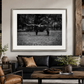 King of the Ranch |  Longhorn Photography | Modern Western Ranch Wall Art