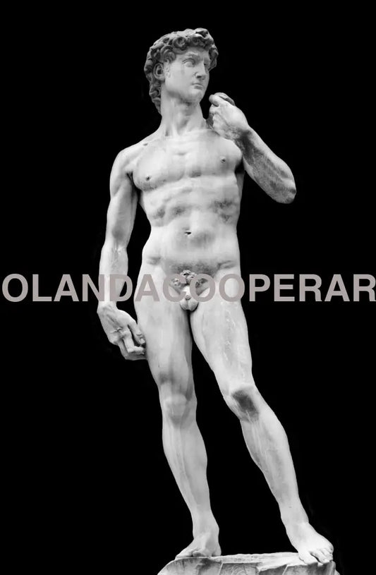 The David Digital Print